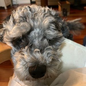 Meet your Posher, Ruth